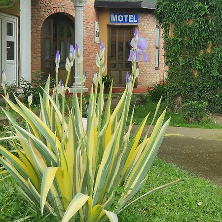 Motel Zoka Dvorovi Buitenkant foto
